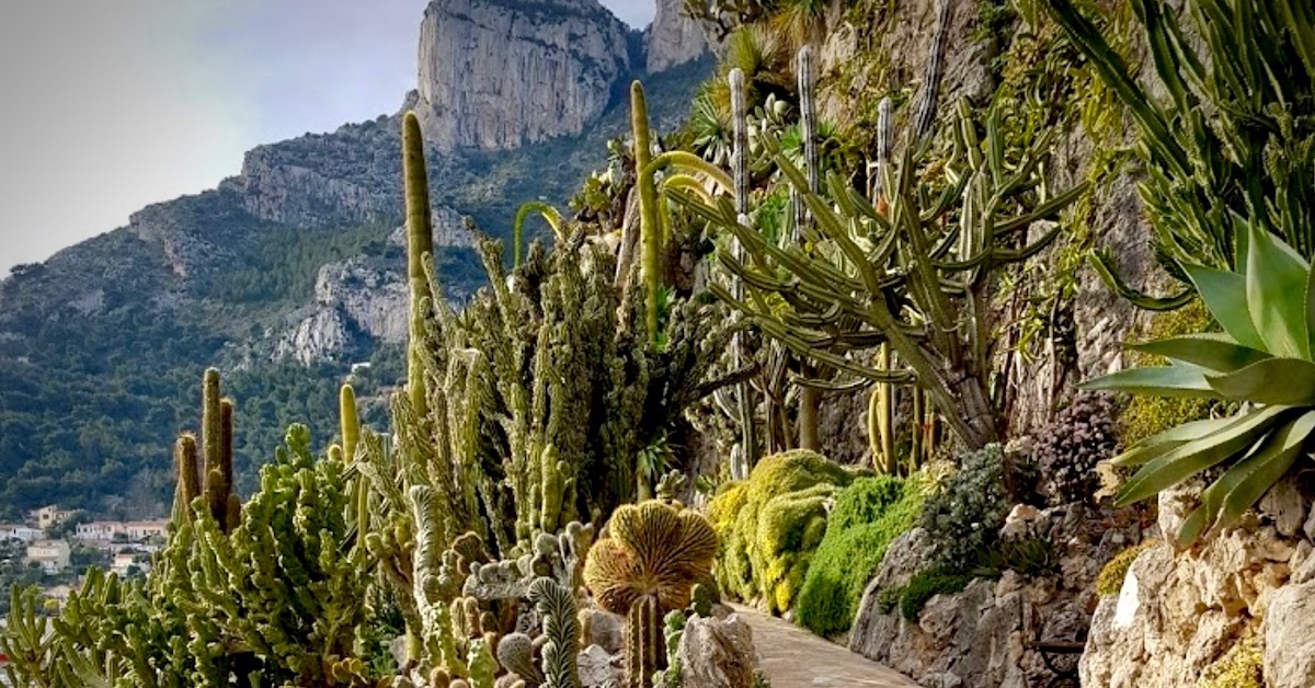 Jardin Exotique de Monaco_feature