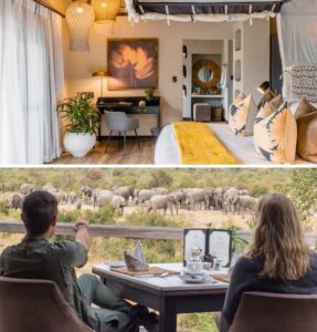 South Africa Borders Open_Sabie Sands